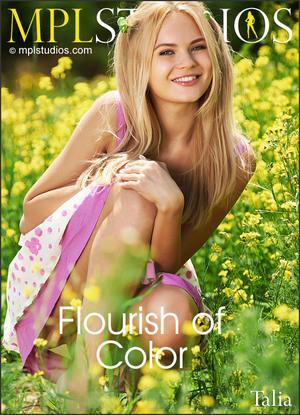 #MPLStudios Talia - Flourish Of Color