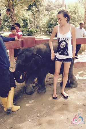 Original 2000 px/ 3000 px