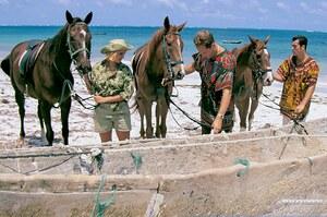 Original 3200 px/ 2123 px