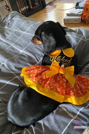 Original 2000 px/ 3000 px