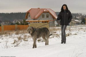 Original 1536 px/ 1024 px