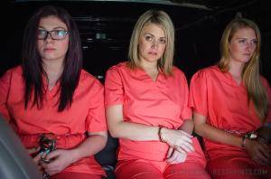 Original 1200 px/ 795 px