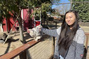 Original 3000 px/ 2000 px