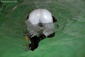 Original 1024 px/ 683 px