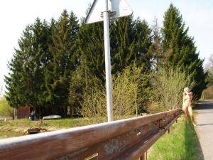 Original 2773 px/ 2080 px