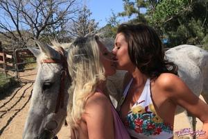 Original 1600 px/ 1066 px