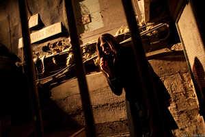 Original 2495 px/ 1663 px