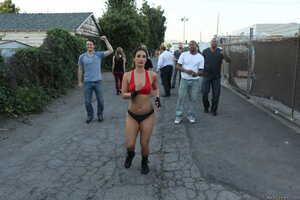 Original 2495 px/ 1663 px