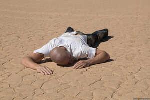 Original 2495 px/ 1663 px