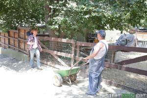 Original 1620 px/ 1080 px