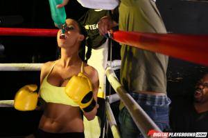 Original 1903 px/ 1269 px