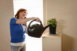 Original 2491 px/ 1663 px