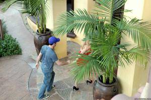 Original 2495 px/ 1663 px