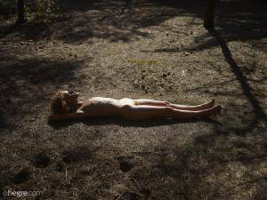 Original 10328 px/ 7760 px