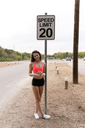 #Zishy Liz Jordan - Apache Rose Peacock