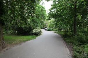 Original 1280 px/ 853 px