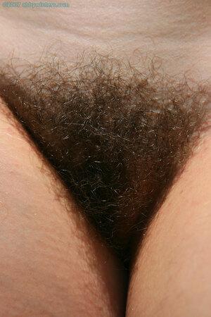 Original 981 px/ 1472 px