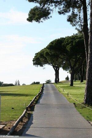 Original 853 px/ 1280 px