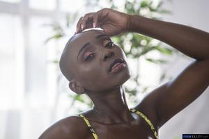 Original 2160 px/ 1441 px