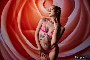 Original 3000 px/ 2000 px