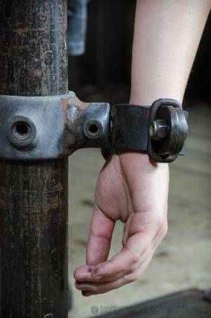 Original 795 px/ 1200 px