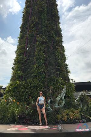 Original 2000 px/ 3000 px