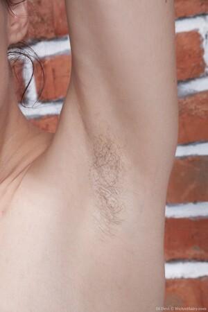 Original 2000 px/ 3000 px