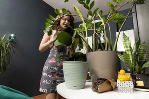 Original 3000 px/ 2001 px