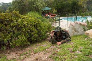 Original 2499 px/ 1663 px