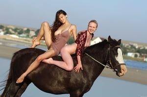 Original 2560 px/ 1700 px