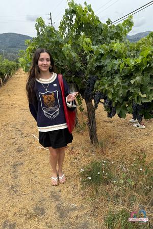 Original 2000 px/ 3000 px