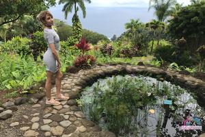 Original 3000 px/ 2000 px