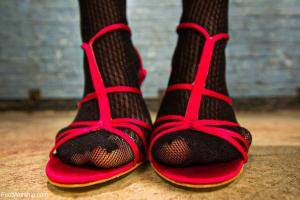 Original 1200 px/ 800 px