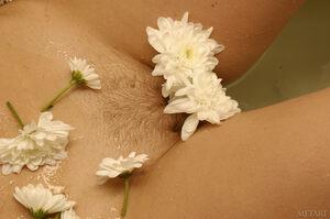 Original 2500 px/ 1662 px