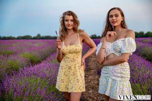 Original 3000 px/ 2000 px