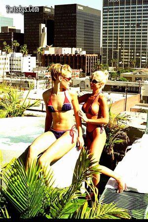 Original 533 px/ 800 px