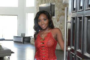 Original 2491 px/ 1663 px