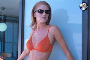 Original 795 px/ 531 px