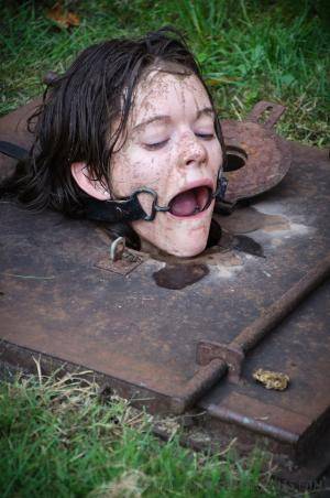 Original 795 px/ 1200 px