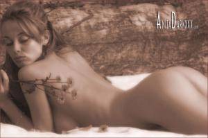 Original 800 px/ 532 px