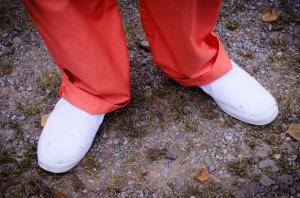 Original 1200 px/ 795 px