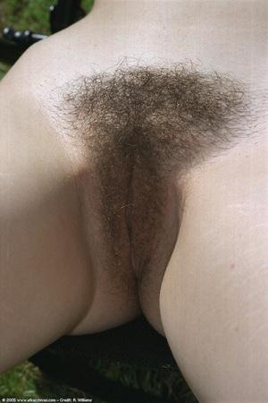 Original 682 px/ 1024 px