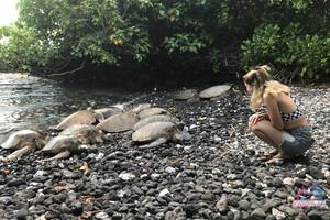 Original 3000 px/ 2000 px