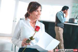 Original 1903 px/ 1269 px