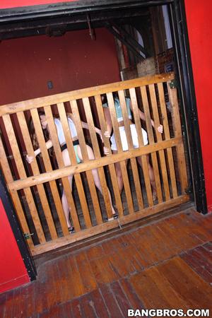 Original 1333 px/ 2000 px