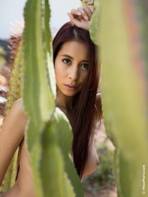 Original 3880 px/ 5164 px