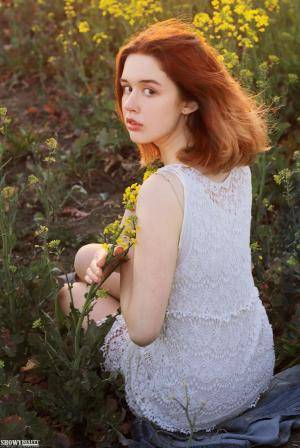 Original 856 px/ 1280 px