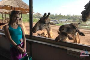 Original 3000 px/ 2000 px