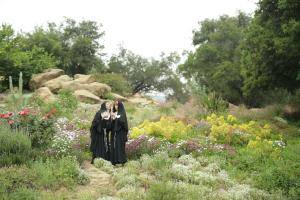 Original 1280 px/ 854 px