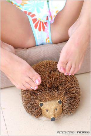 Original 900 px/ 1350 px